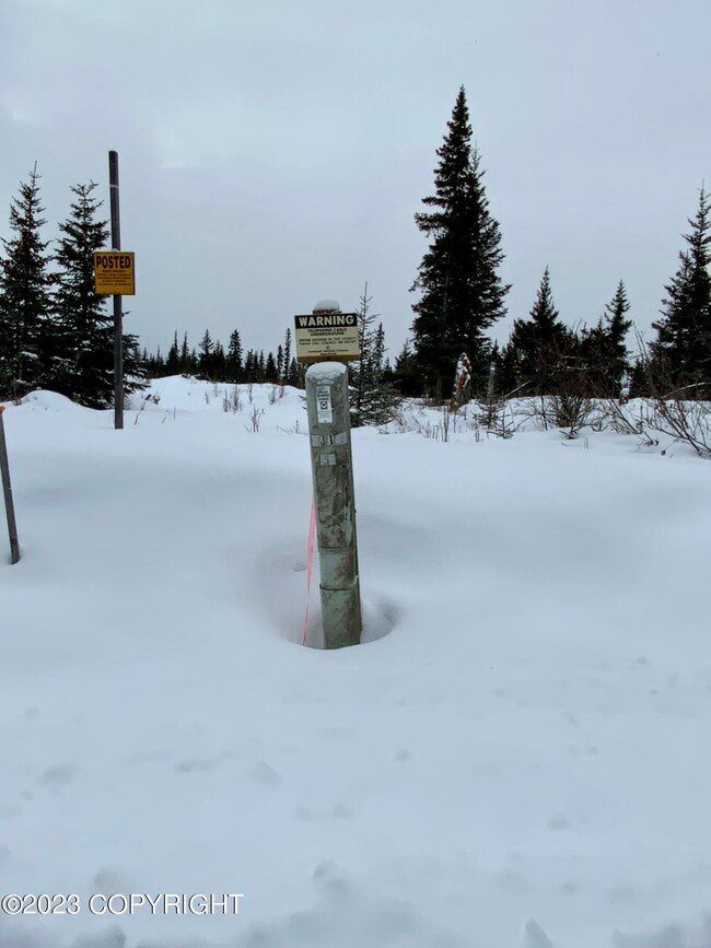 65687 Tomski Ave, Anchor Point, AK 99556 - photo 6