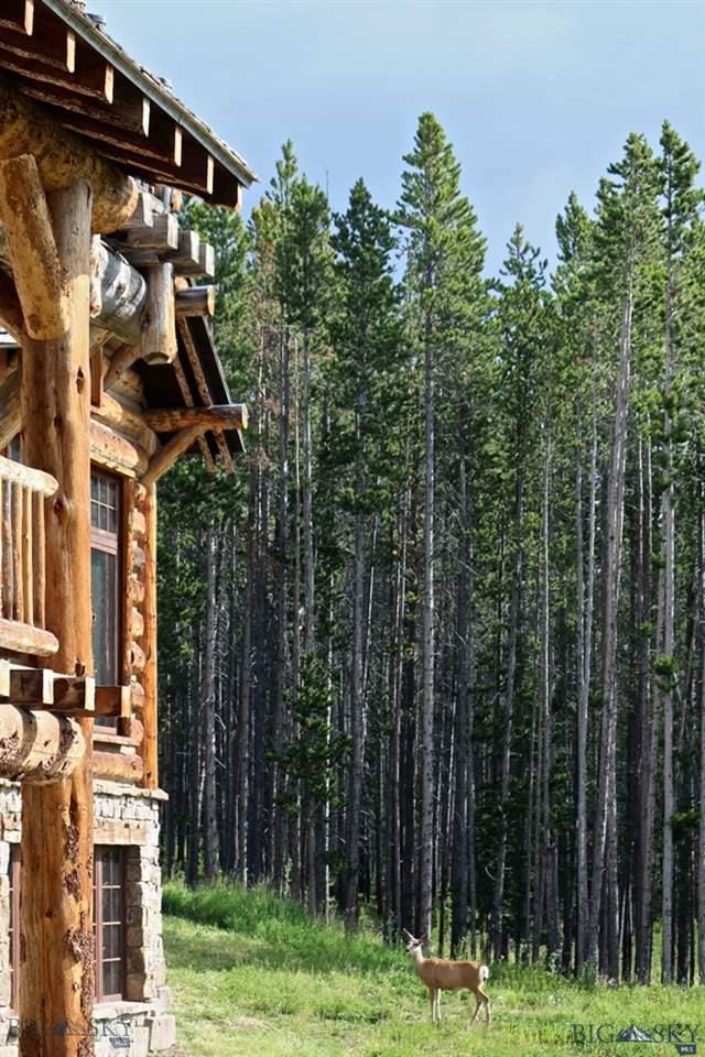 16 Pumice Rd, Big Sky, MT 59716 - photo 2