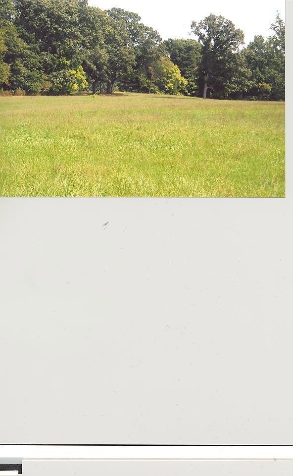 View of Property