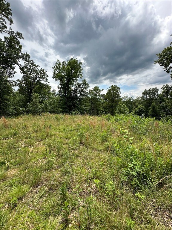 Lot 18 Cromarty Dr, Bella Vista, AR 72715 - photo 2