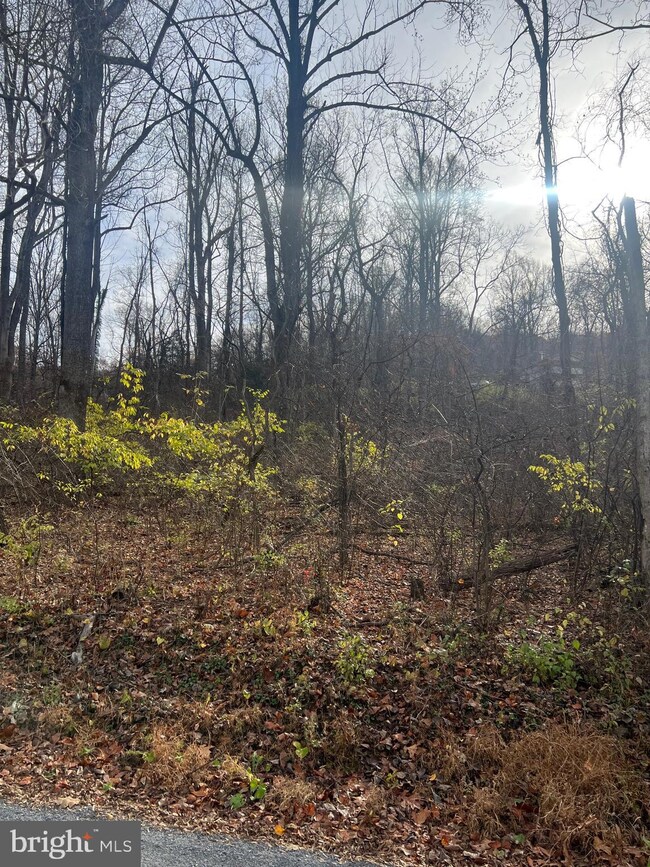 138 Venus Branch Rd, Front Royal, VA 22630 - photo 2