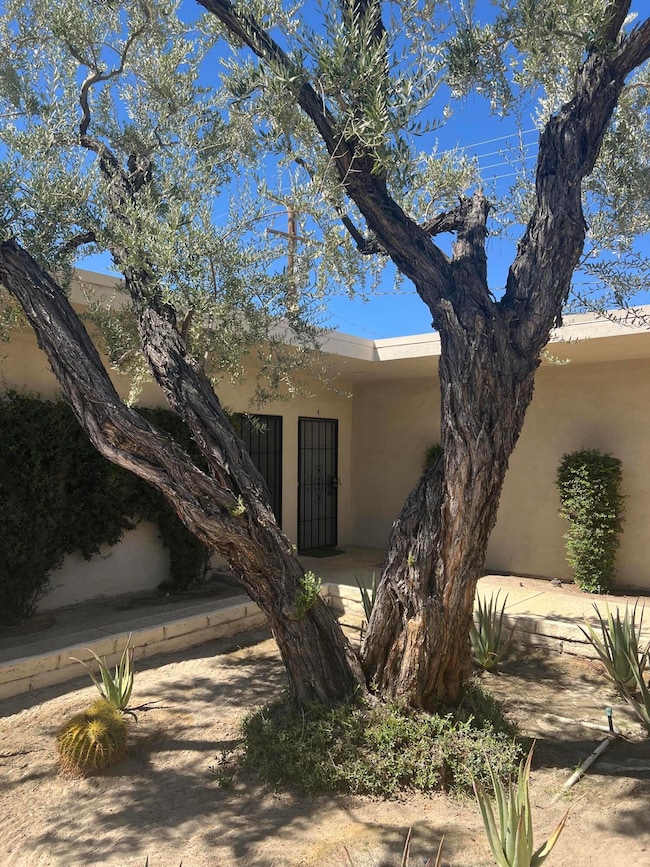 Courtyard1
