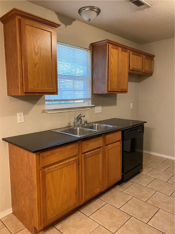 Kitchen sink & dishwasher