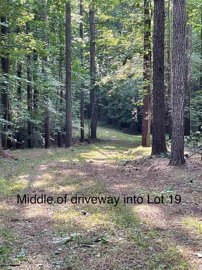 Lot 19 Nassau Trail, Pittsboro, NC 27312 - photo 5