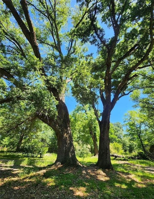 1618 N Columbia St, Covington, LA 70433 - photo 6