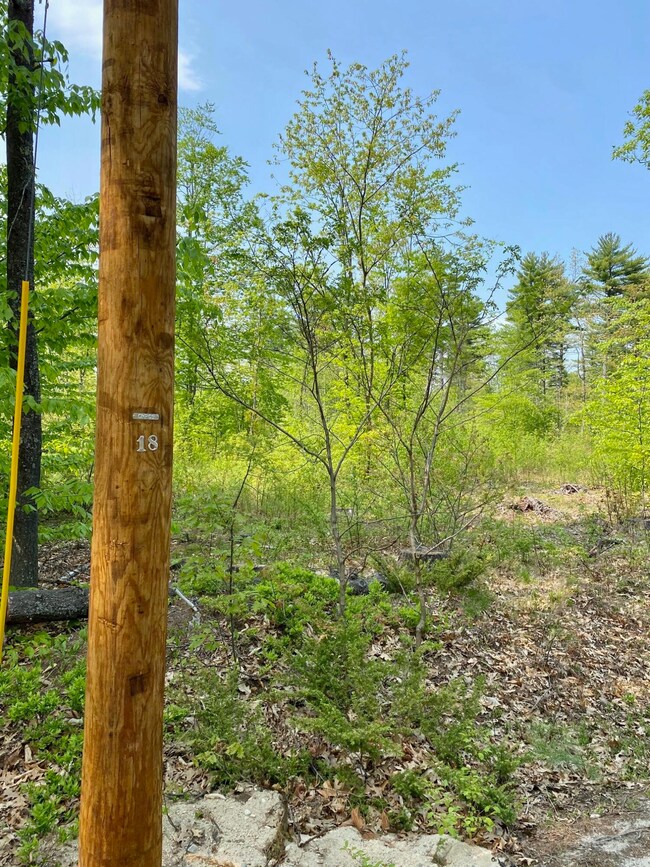 00 Dingley Spring Rd, Gorham, ME 04038 - photo 6