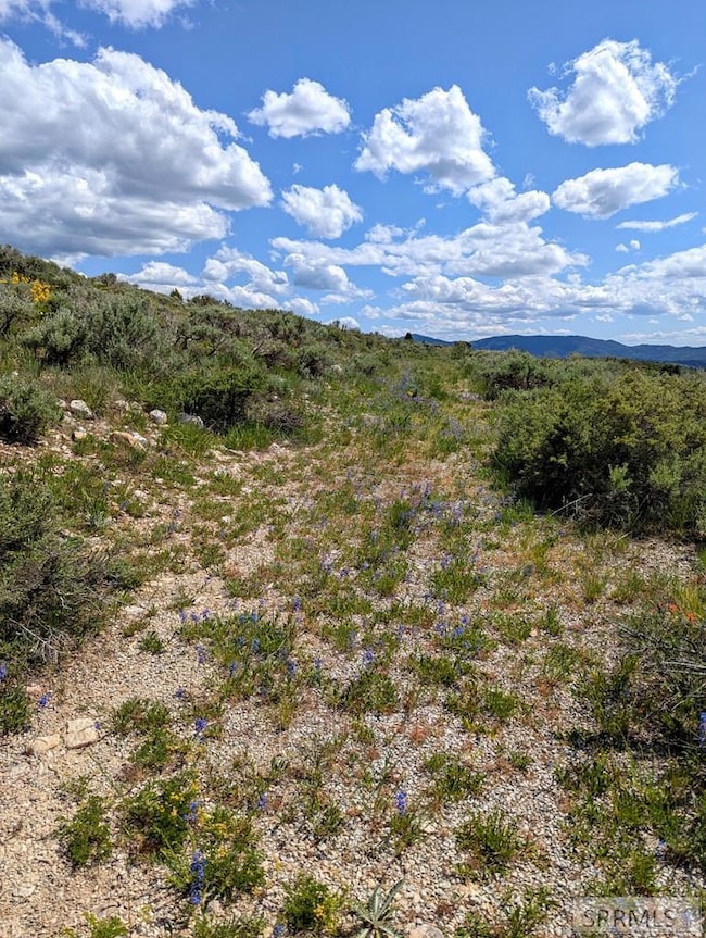 TBD Selkirk Rd, Lava Hot Springs, ID 83246 - photo 3