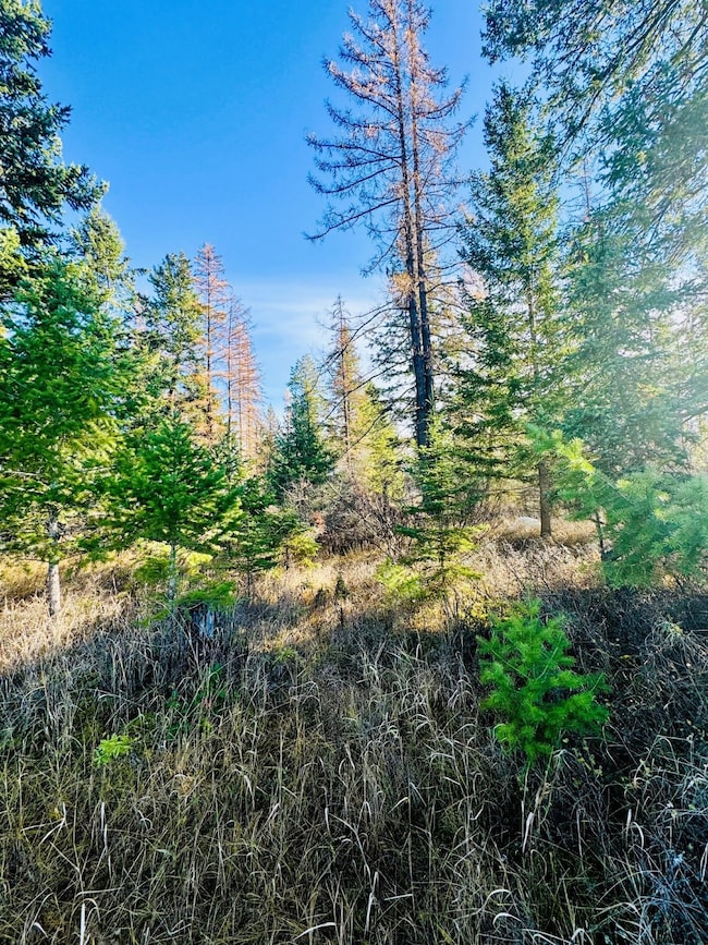 1262 Riverside Rd, Bigfork, MT 59911 - photo 7