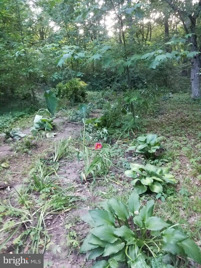 1003 Mt Zion Marlboro Rd, Lothian, MD 20711 - photo 5