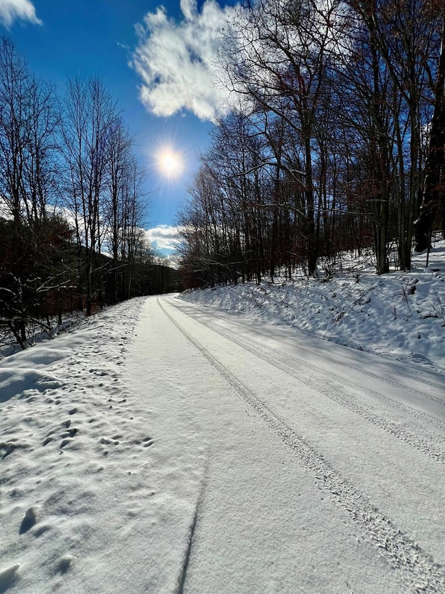 00 Brizzee Hollow, Genesee, PA 16923 - photo 5