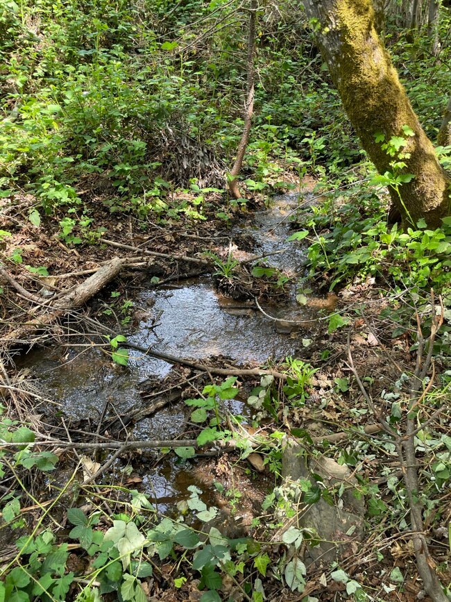 Stream