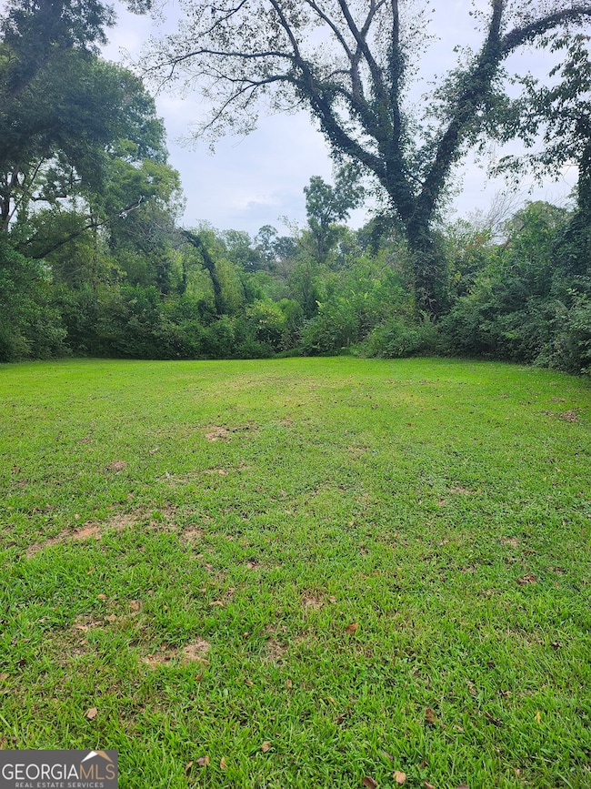 418 N 9th St, Griffin, GA 30223 - photo 2