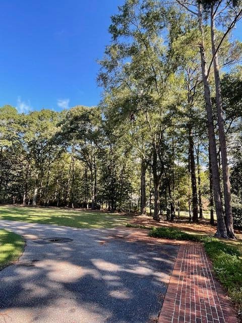 2770 Mohican Dr, Sumter, SC 29150 - photo 4