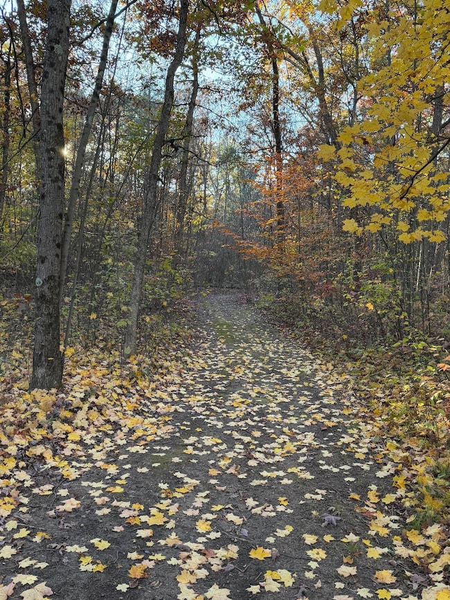 V/L Maple Hill Rd unit Parcel B, Howard City, MI 49329 - photo 4