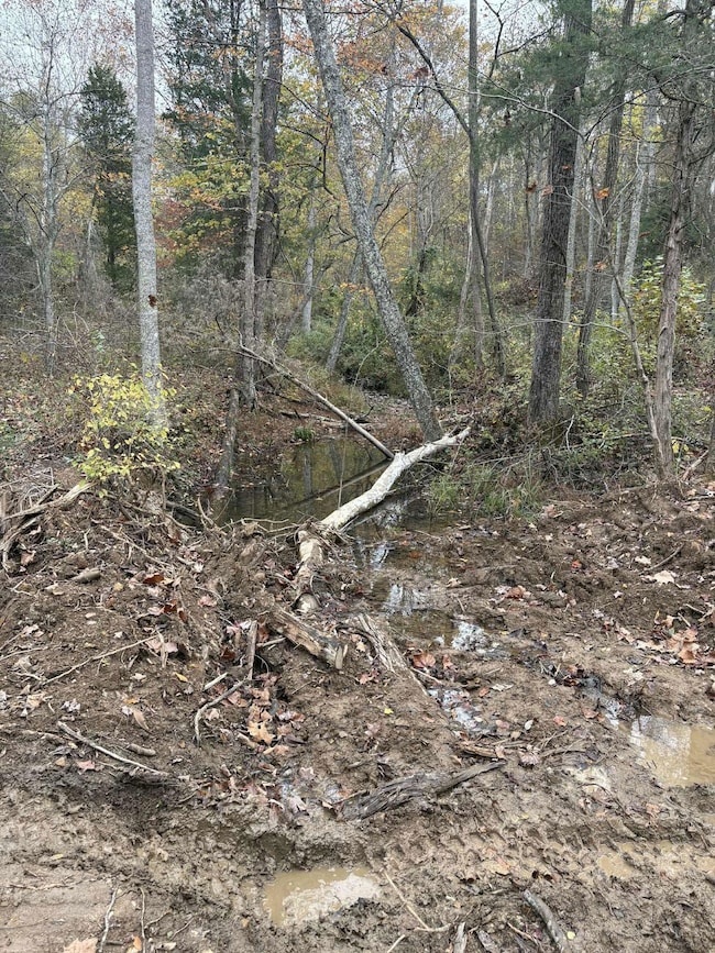 Pine Grove Ch Rd, Vanceburg, KY 41179 - photo 5