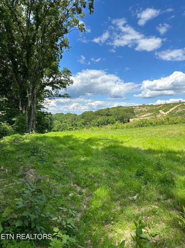 TBD Rd, Morristown, TN 37814 - photo 5