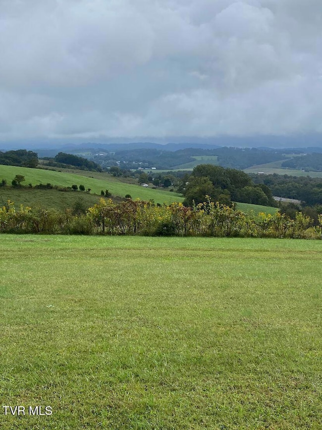 00 Gillis Trail, Jonesville, VA 24263 - photo 2