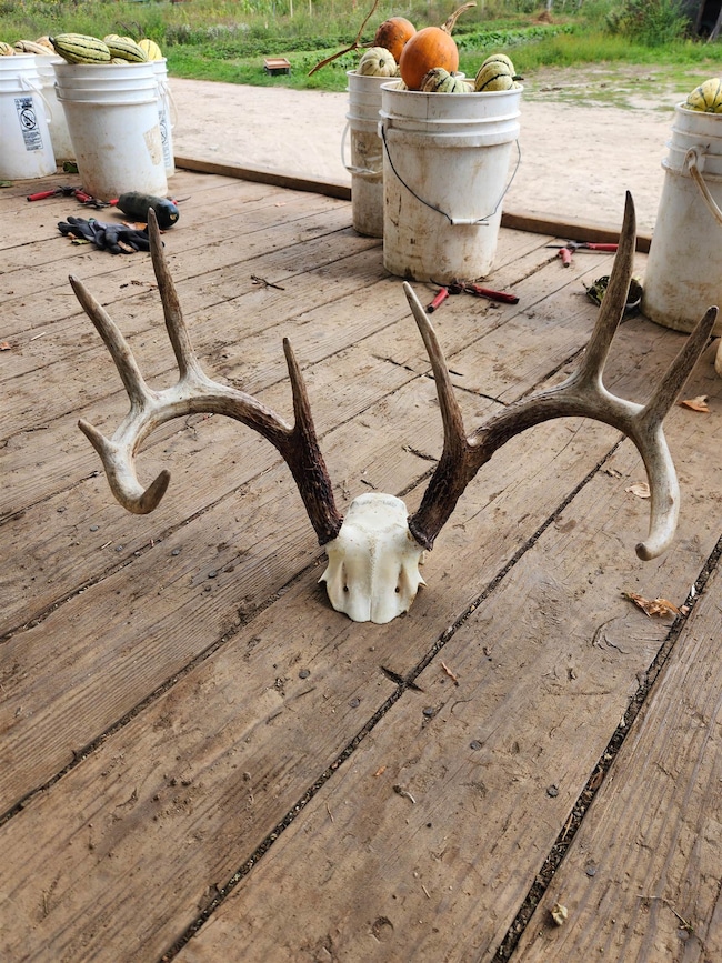 18 Ac Healy Rd, Springvale, WI 53923 - photo 2