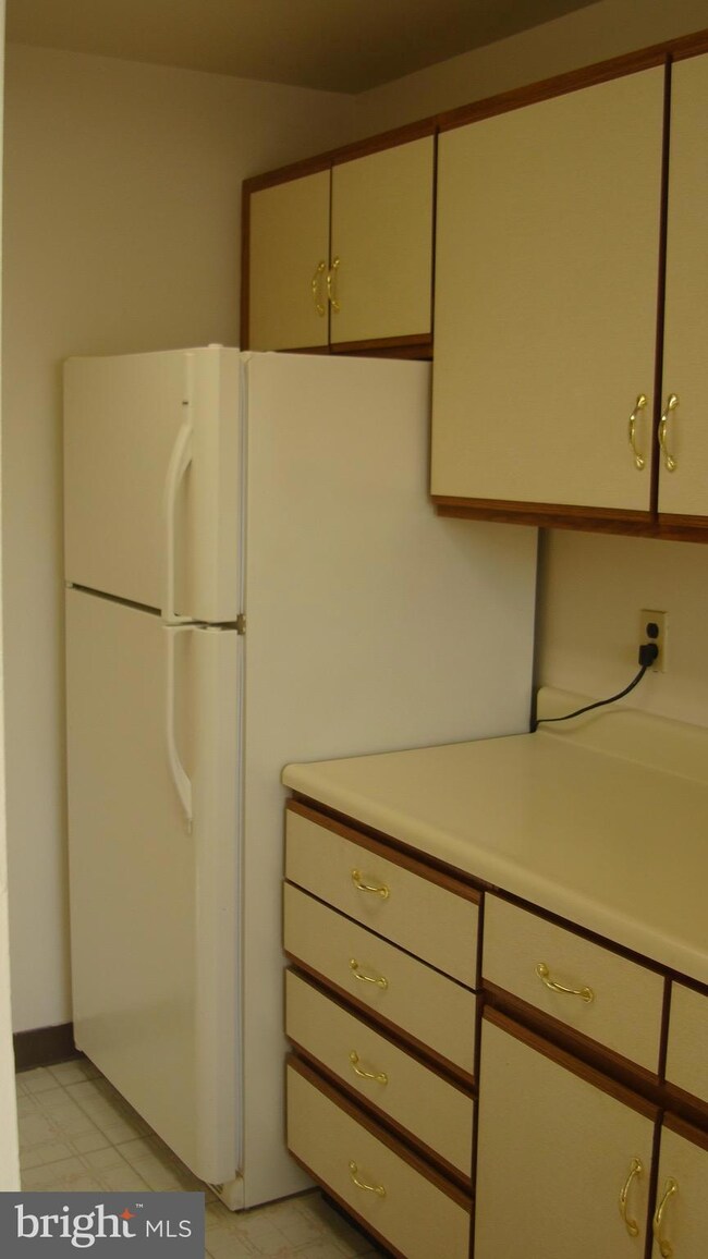 1944 Kennedy Dr unit 203, McLean, VA 22102 - photo 5