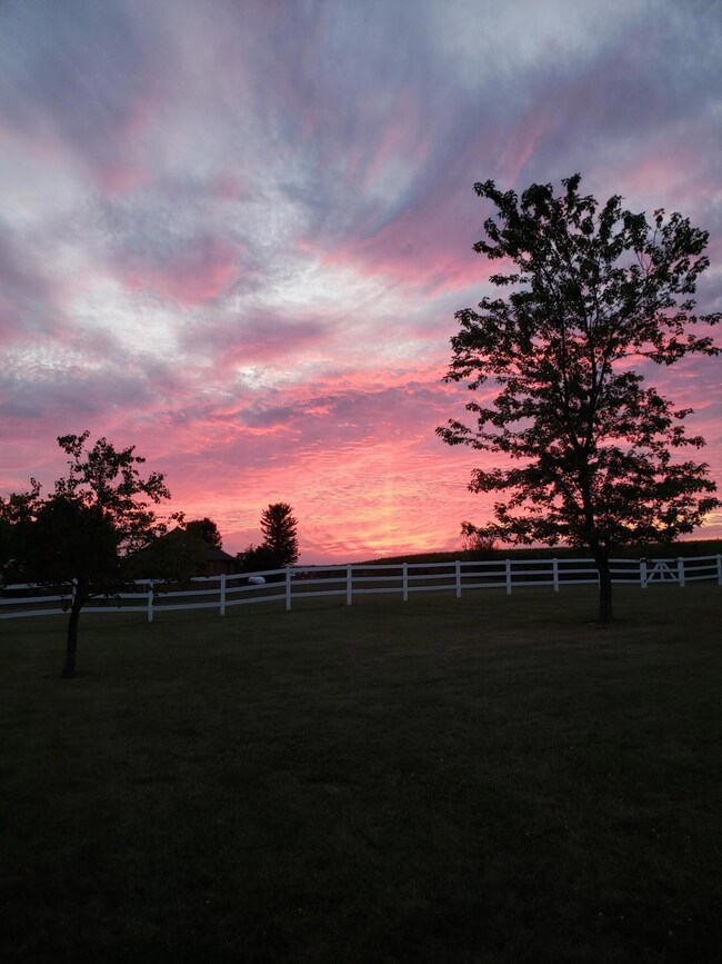 6726 Tarlton Rd, Circleville, OH 43113 - photo 5