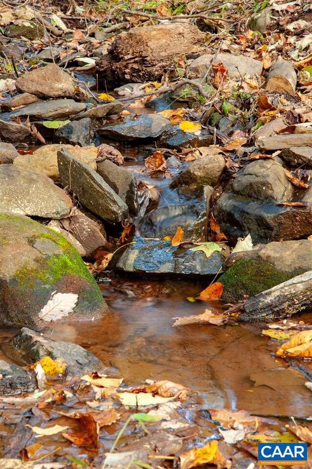 167 Foothills Dr, Nellysford, VA 22958 - photo 3