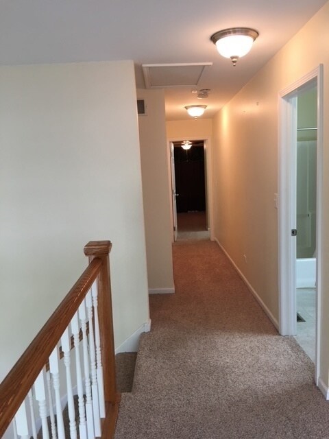 1911 Town Dr, Naperville, IL 60565 - photo 6