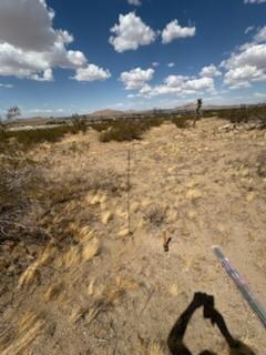 0 E 152nd St unit 25009195, Lake Los Angeles, CA 93535 - photo 6