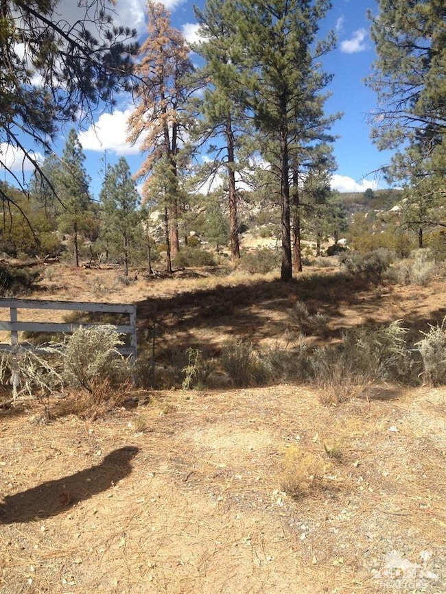 0 Table Mountain Rd, Mountain Center, CA 92561 - photo 2