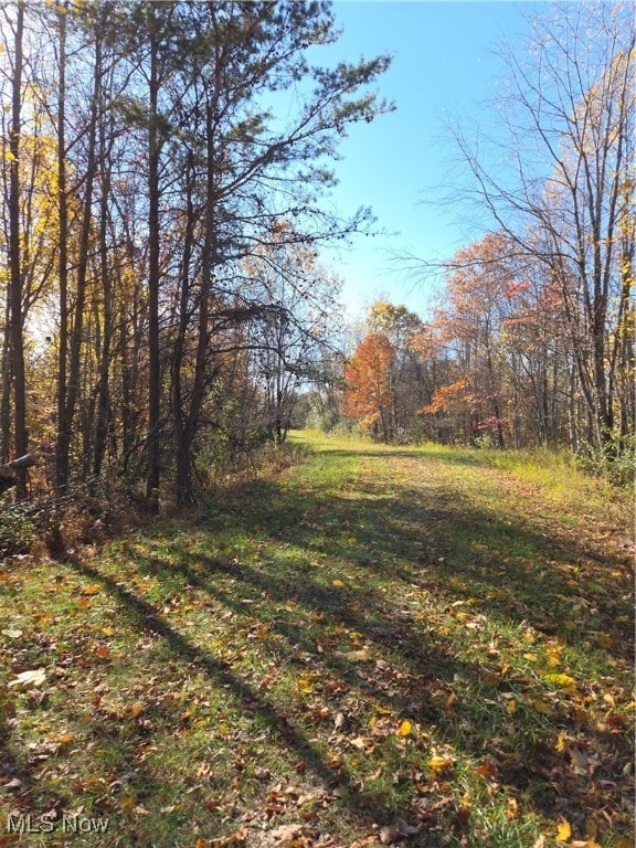 0 Glendale Rd, Highland, WV 26346 - photo 2