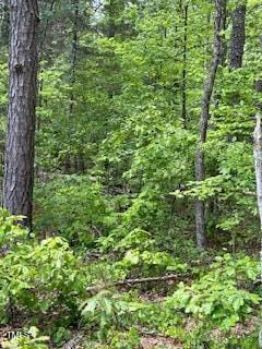 IMG_5618