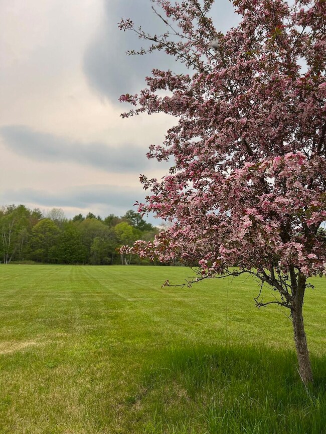 TBD Pound Rd, Durham, ME 04222 - photo 4