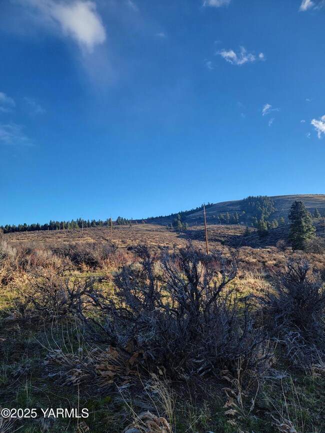 NKA Cowiche Mill Rd, Yakima, WA 98908 - photo 5