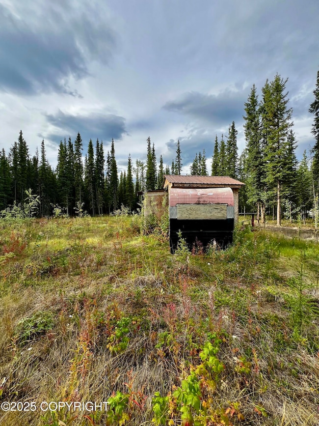 L13 Frostwoods St, Tok, AK 99780 - photo 7