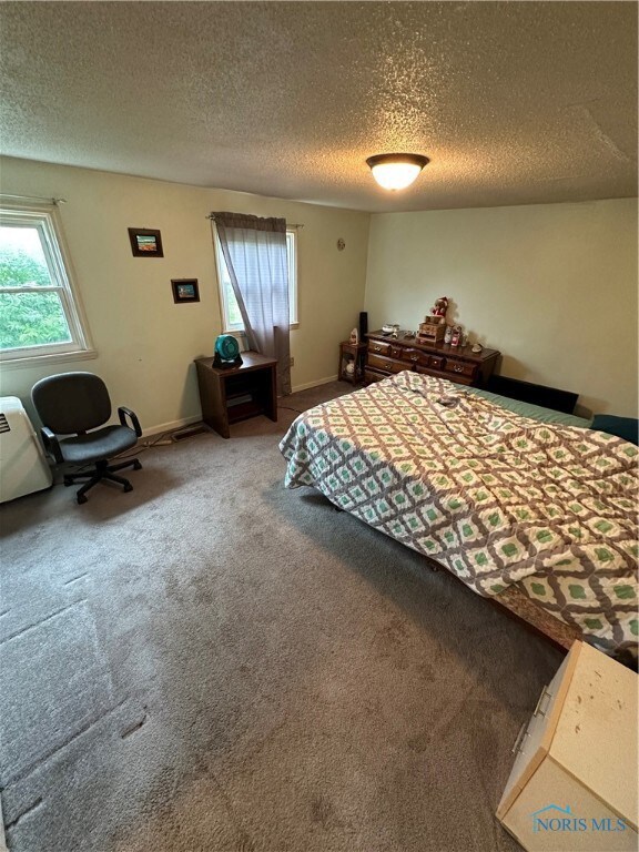 1116 W College Ave, Woodville, OH 43469 - photo 7