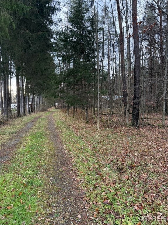 2815 Stuck Hill Rd, Scio, NY 14880 - photo 2