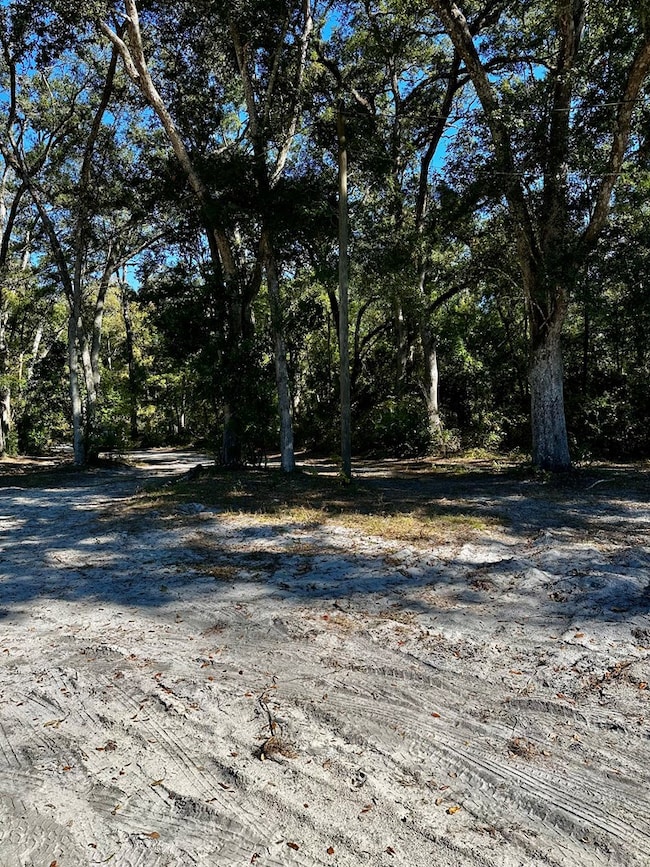 165 NE 368th Ave, Old Town, FL 32680 - photo 5