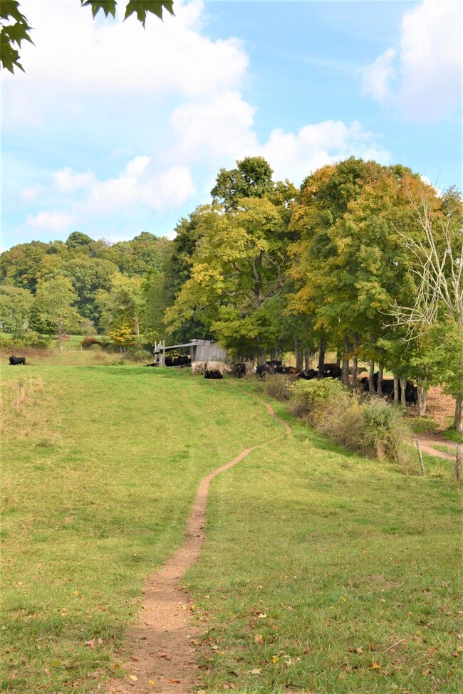 Land View