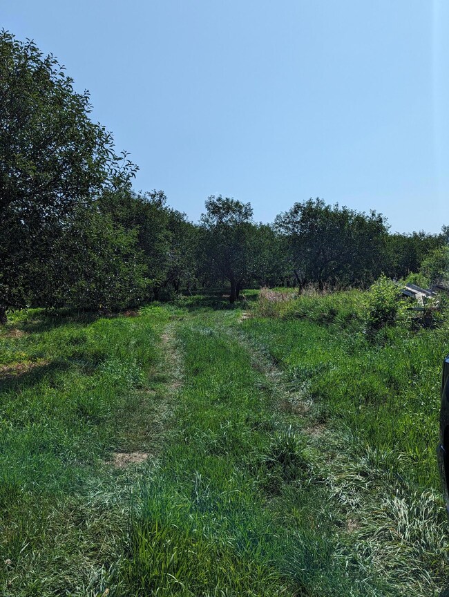 PXL_20230721_151958275