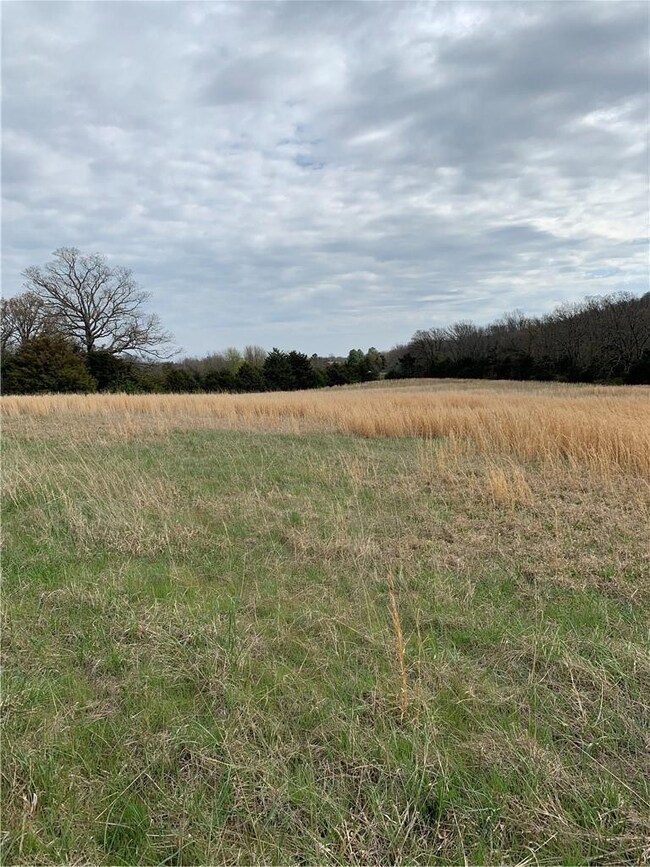 12499 Sugar Mountain Rd, West Fork, AR 72774 - photo 6