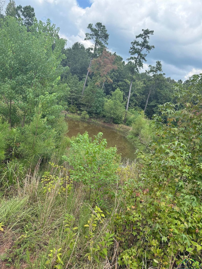 12543 Farm To Market 225, Cushing, TX 75760 - photo 5