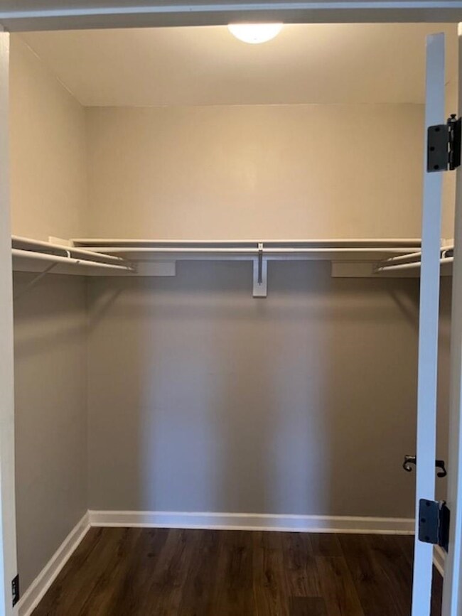 Spacious closet with dark hardwood / wood-style fl
