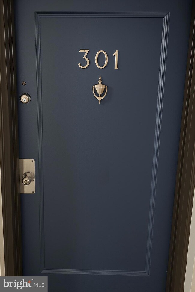 111 Lee Ave unit 301, Takoma Park, MD 20912 - photo 2