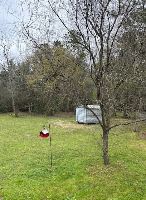 31310 Merry Merchant St, Magnolia, TX 77354 - photo 4