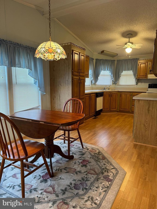 181 Cardinal Ave, Mantua, NJ 08051 - photo 4