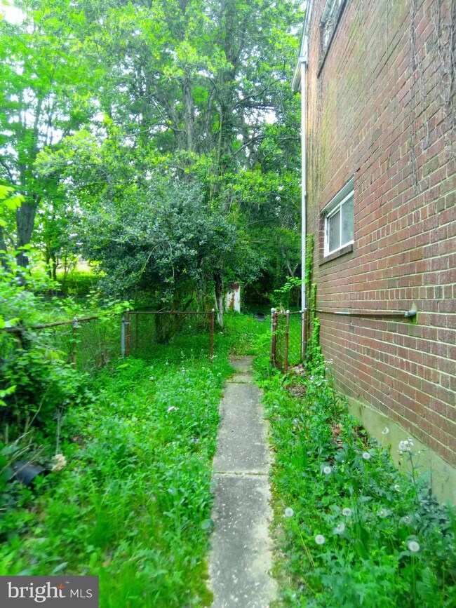 3406 Janet Rd, Silver Spring, MD 20906 - photo 5