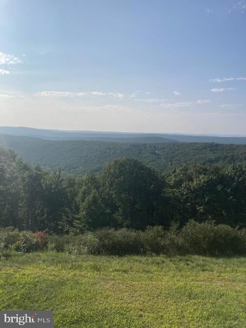 51 Mohican Ct, Hazle Township, PA 18202 - photo 7