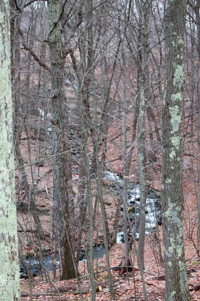 120 Swallow Ct, Bushkill, PA 18324 - photo 6