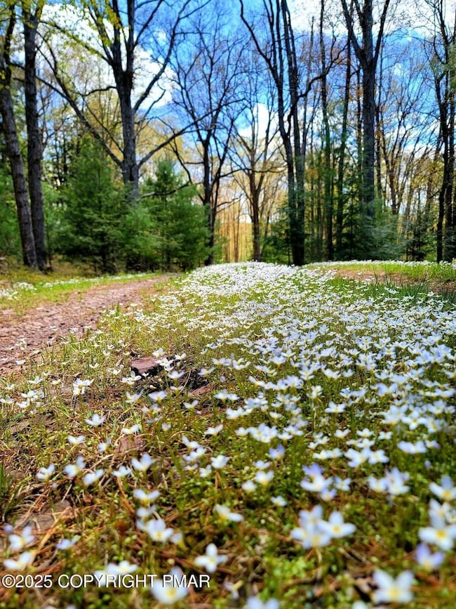 614 Graystones Jeras Lot Av-4 Rd, Albrightsville, PA 18210 - photo 2