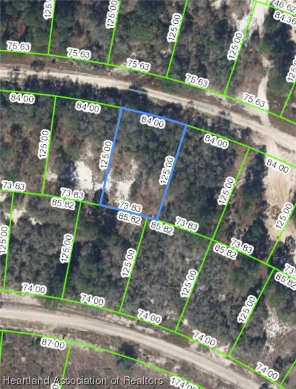 449 Morningside Dr, Lake Placid, FL 33852 - photo 5