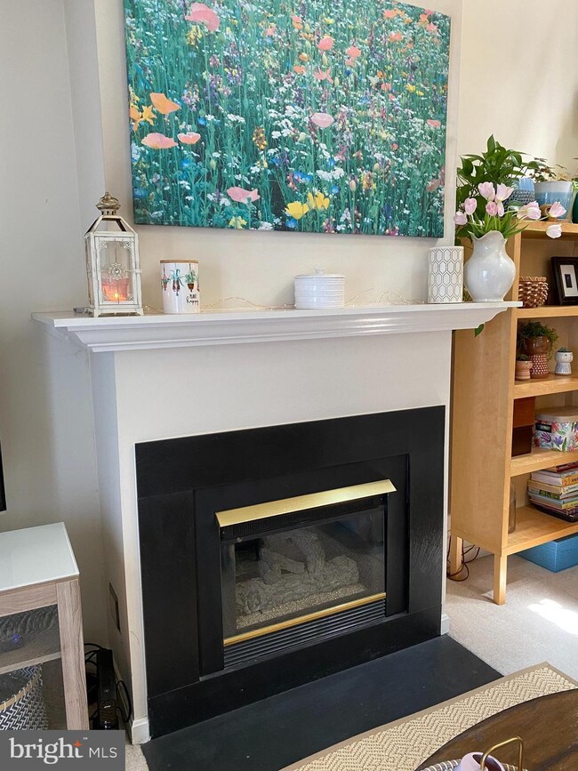 10024 Vanderbilt unit 9-14, Gaithersburg, MD 20878 - photo 3